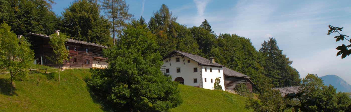 MUSEUM TIROLER BAUERNHÖFE